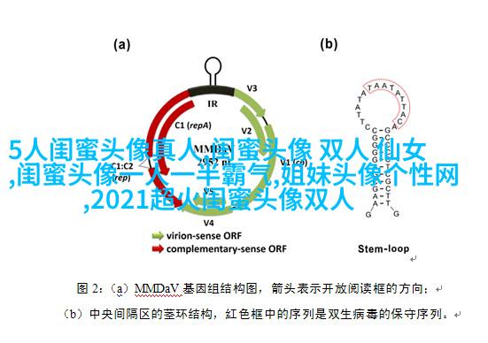 姐妹三人qq头像_微信三姐妹头像