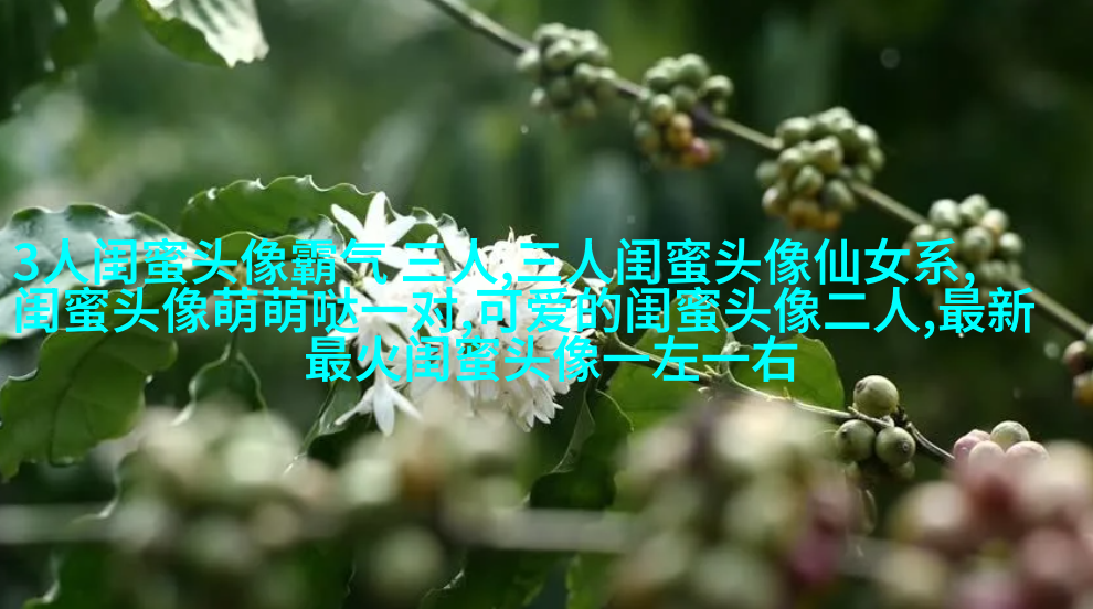 搞笑闺蜜头像一对两张带字图片